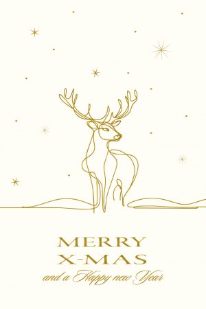 Weihnachtskarte - FW 18552